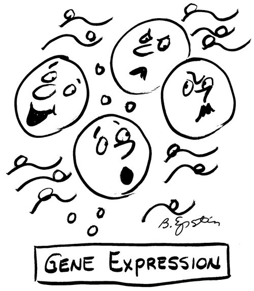 Gene Expression