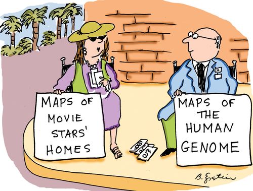 Maps of the Human Genome