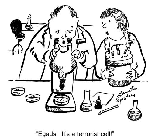 "Egads! It's a terrorist cell!"