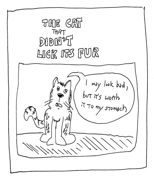 "The cat that didn't lick its fur."