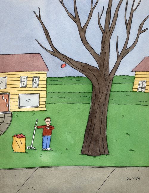 A man waits for the last leaf to fall from a tree