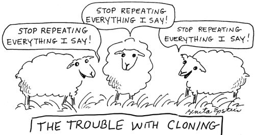 The Trouble With Cloning