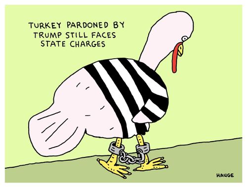 Turkey pardoned by Trump still faces state charges.