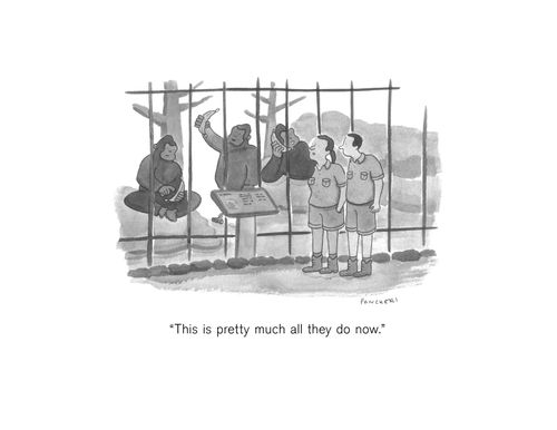 "This is pretty much all they do now."