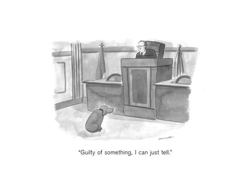 "Guilty of something. I can just tell."