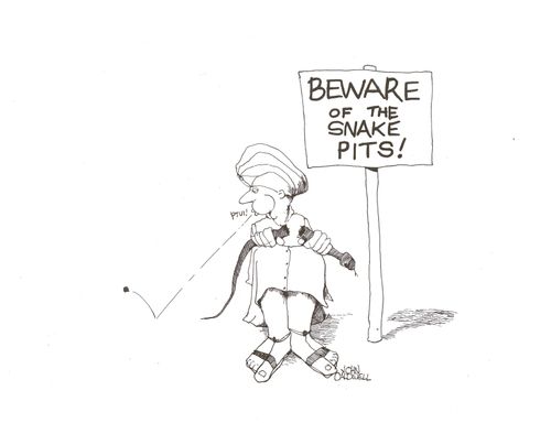 Beware of the snake pits