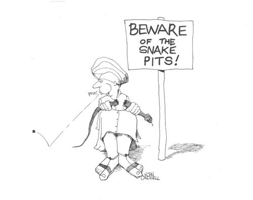 Beware of the snake pits!