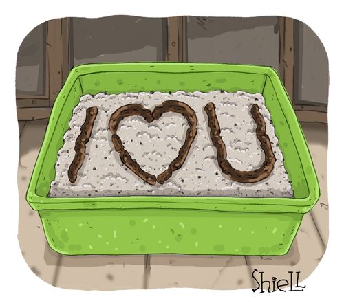 I Love You Litter Box