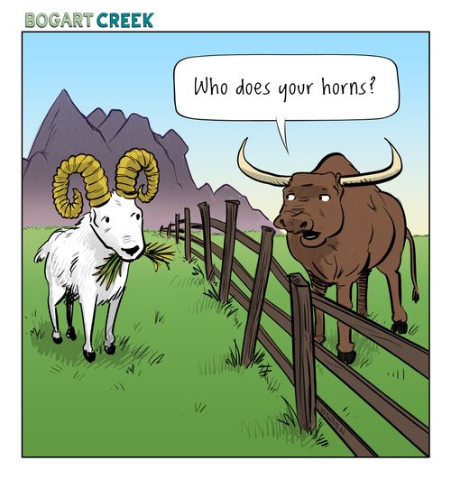"Who does your horns?"