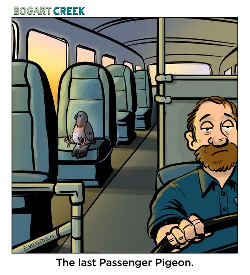 The last Passenger Pigeon