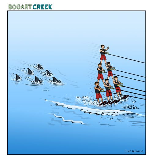 Shark Formation