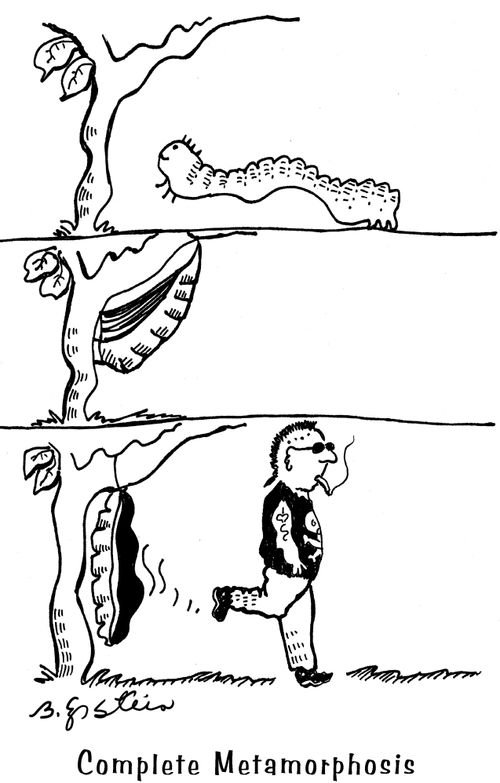 Complete Metamorphosis