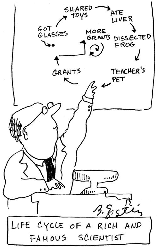 Life cycle of a rich and famous scientist