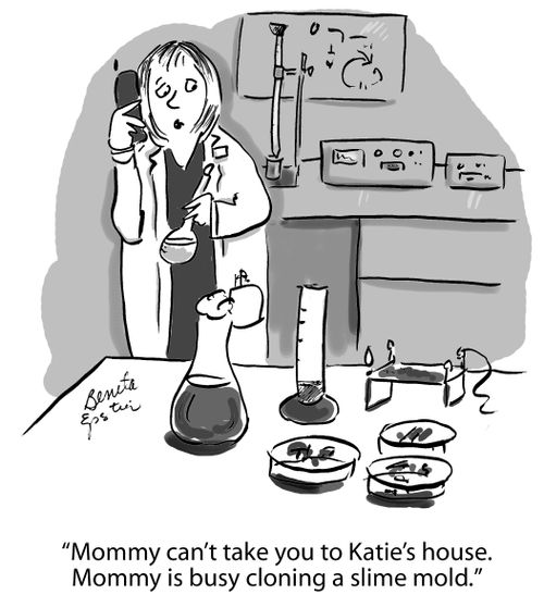 "Mommy can't take you to Katie's house. Mommy is busy cloning a slime mold."