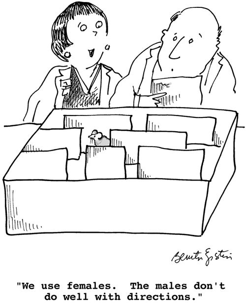 "We use females. The males don't do well with directions."