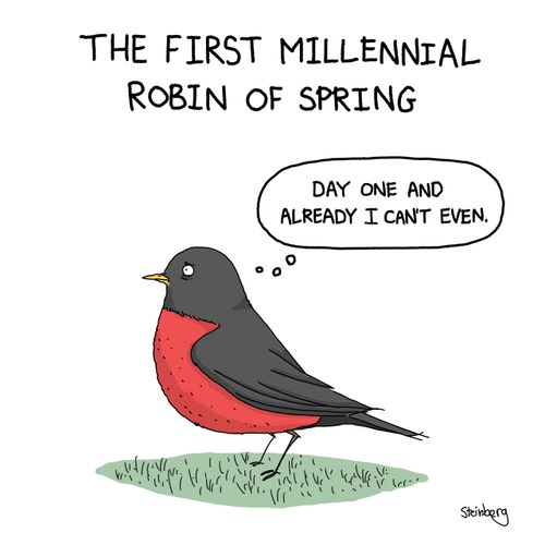 The First Millennial Robin of Spring