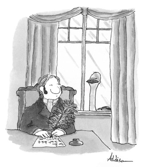 Ostrich Feather Revenge