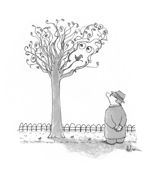 Tree Voyeur
