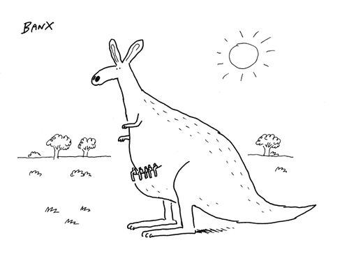 Pens in a kangaroo's pouch