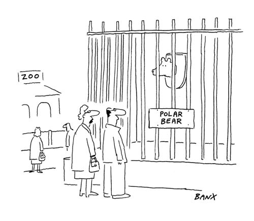 Polar bear in a zoo.