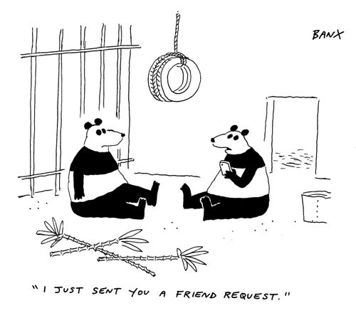 "I just sent you a friend request."
