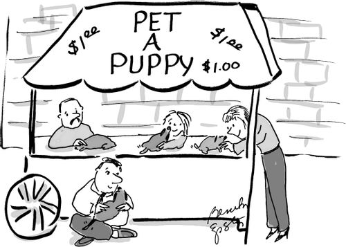 Pet a Puppy