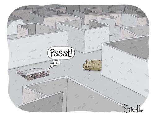 Rat Maze Trap Door