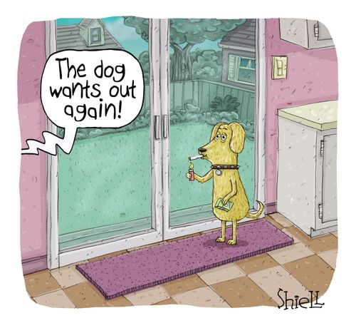 "The dog wants out again!"
