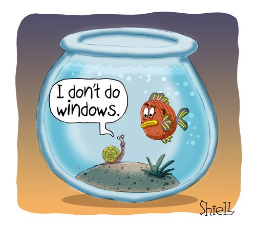 "I don't do windows."