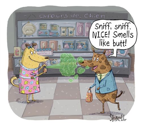 "Sniff, sniff, NICE! Smells like butt!"