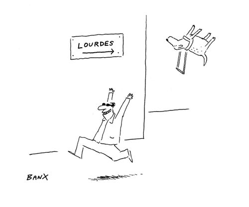 Lourdes guide dog