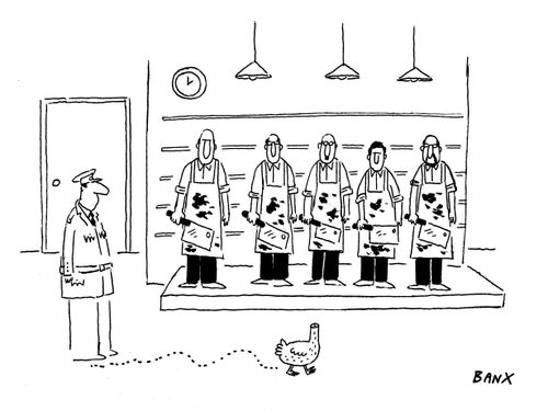 Headless chicken views an identity parade