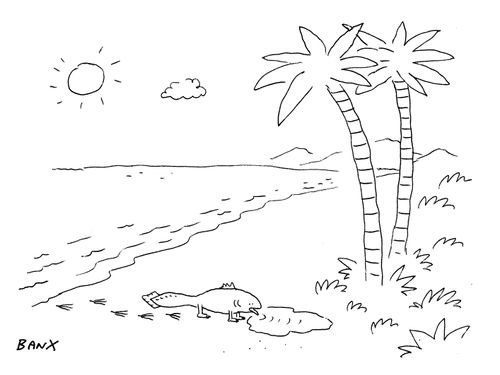 Evolution puddle.