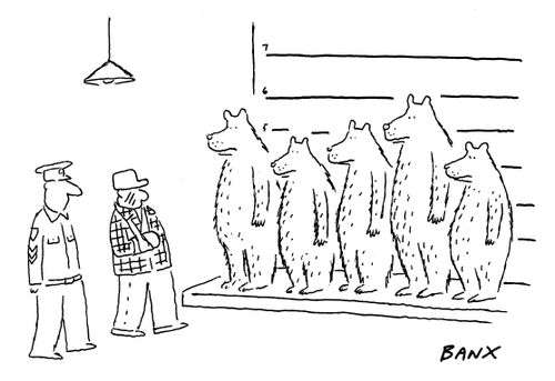 Bears in a line-up