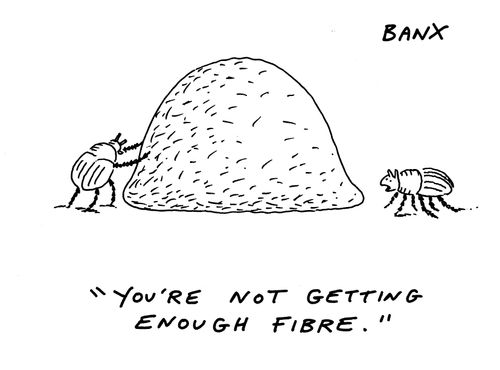 "You're not getting enough fibre."