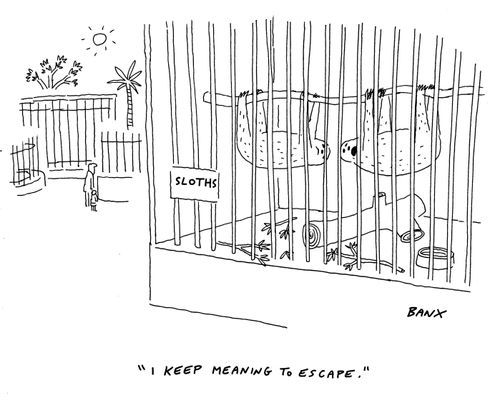 "I keep meaning to escape."