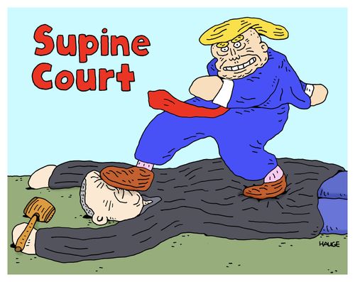 Supine Court