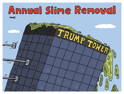 Annual Slime Removal