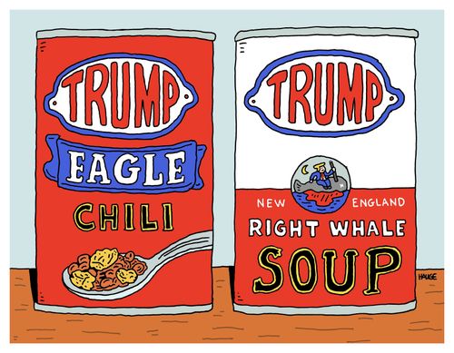 Trump Chili/Soup