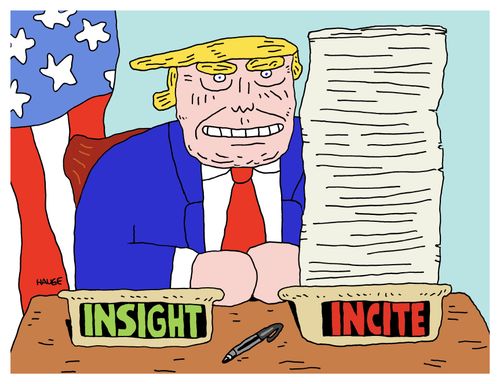 Insight/Incite