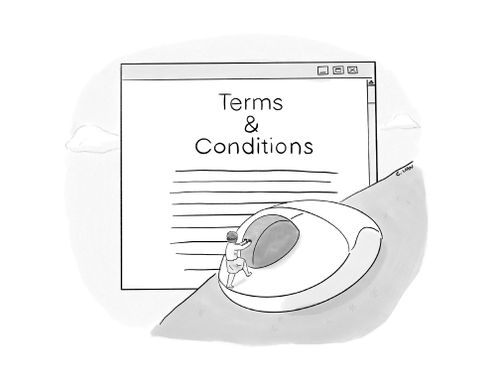 Terms and Conditions