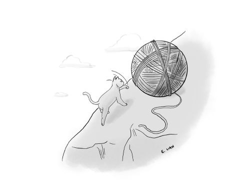 Cat Sisyphus