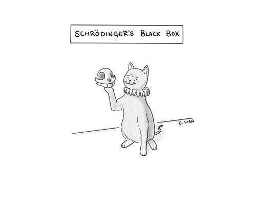 Schrodinger's Black Box