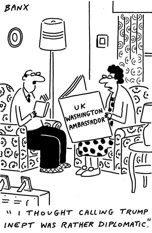 "I thought calling Trump inept was rather diplomatic."