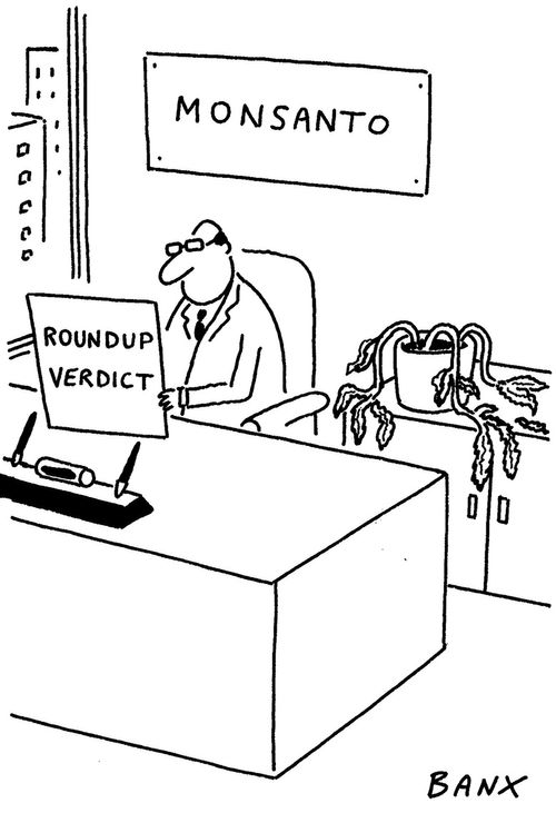 Monsanto and the Roundup Verdict