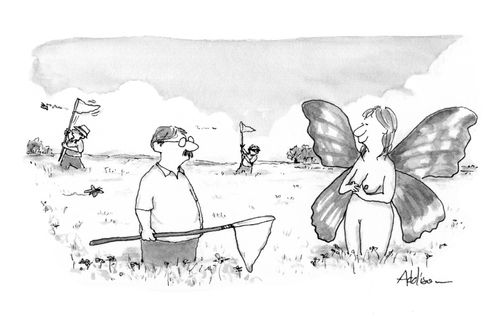 Butterfly Catcher