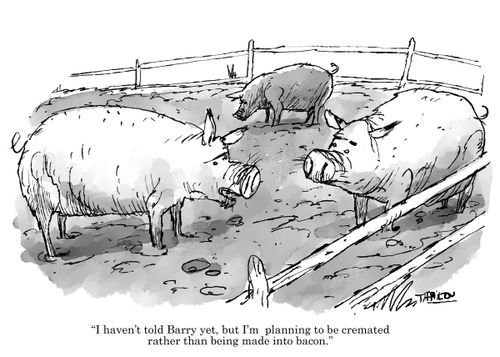 "I haven't told Barry yet, but I'm planning to be cremated rather than being made into bacon."