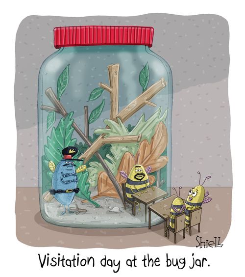 Visitation Day at the Bug Jar