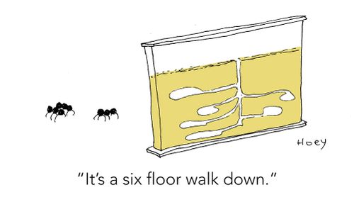 "It's a six floor walk down."