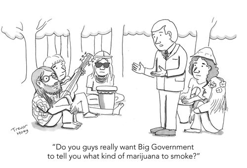"Do you guys want Big Government to tell you what kind of marijuana to smoke."